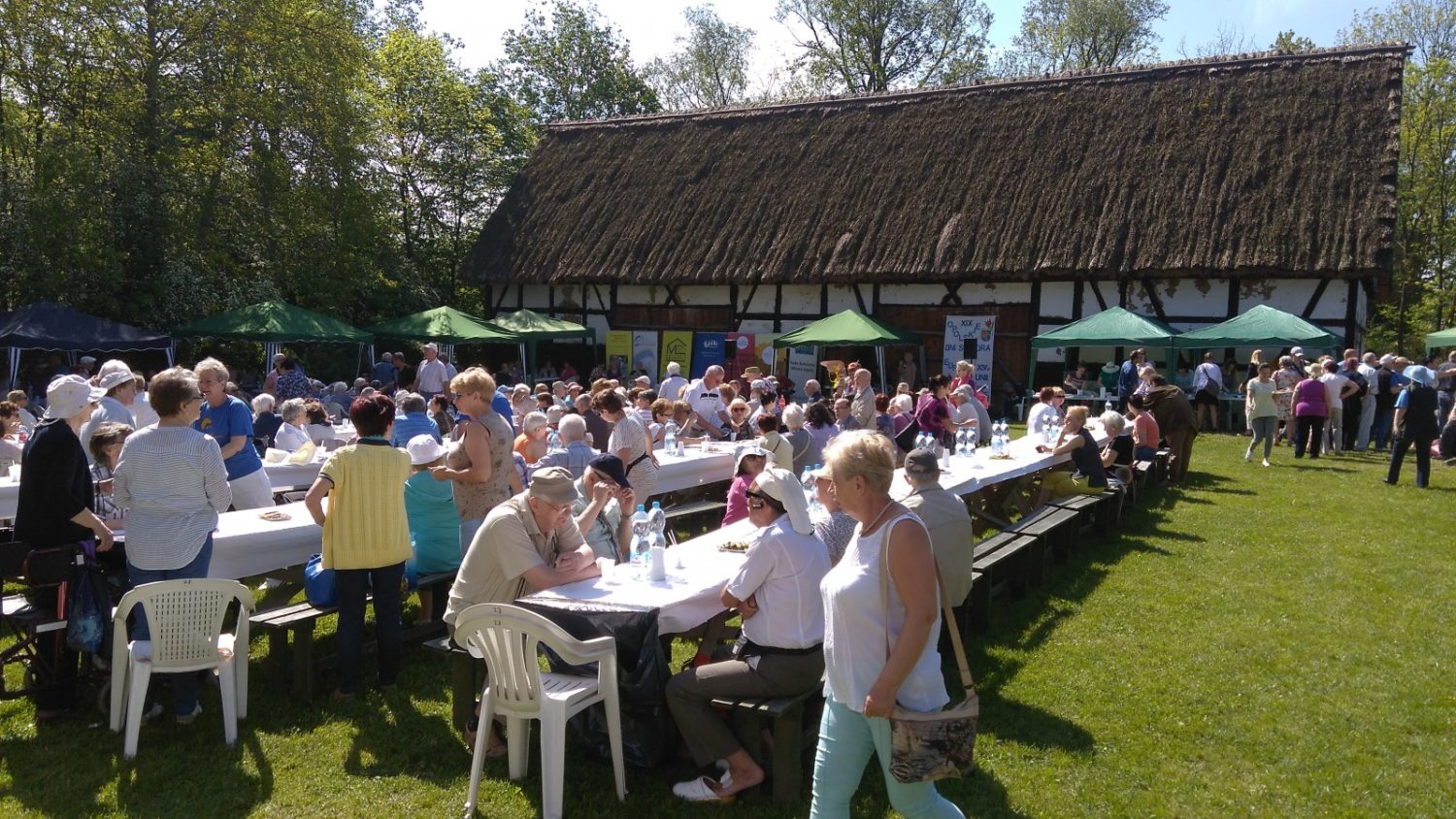 19 Opolskich dni Seniora z OneDayClinic