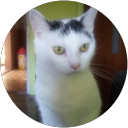 Sylwia Szojda profile picture