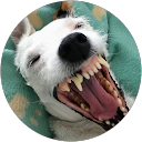 Krystian Kusio profile picture
