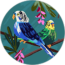 Paweł Tarasiński profile picture