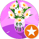 Dorota Hławka profile picture