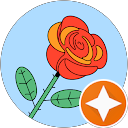 Marta Solecka profile picture