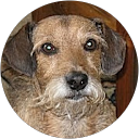JAN SEWERYN profile picture